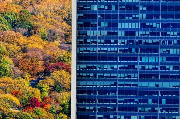Photograph Mitchell Funk Building And Central Park on One Eyeland
